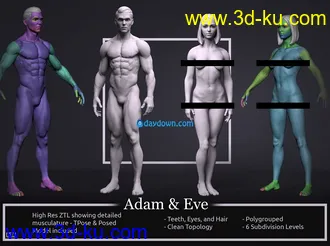 高精度男人女人模型的图片