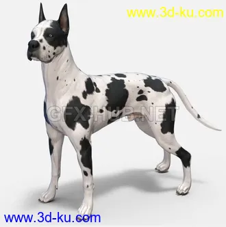 鹰狮飞行坐骑,丹麦大狗,槌头鲨鱼,独角龙,狼,老鹰,食人魔,马,海豚,大象,鹿,恐龙,小动物模型的图片