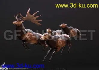 鹰狮飞行坐骑,丹麦大狗,槌头鲨鱼,独角龙,狼,老鹰,食人魔,马,海豚,大象,鹿,恐龙,小动物模型的图片8