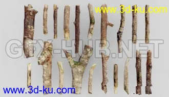 竹子,木头,落叶,草地,木柴,树枝,树干,烂树桩,酒桶,枯萎的花朵模型的图片7