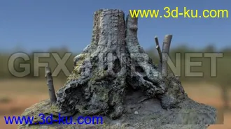 竹子,木头,落叶,草地,木柴,树枝,树干,烂树桩,酒桶,枯萎的花朵模型的图片16