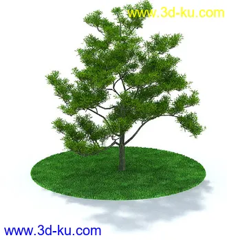 松树,橡树,柳树,红花檵木,红康乃馨,红玫瑰,紫荆树,桃树,模型合集的图片