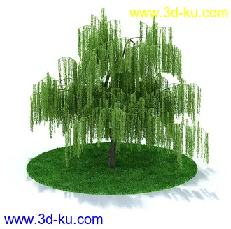 松树,橡树,柳树,红花檵木,红康乃馨,红玫瑰,紫荆树,桃树,模型合集的图片