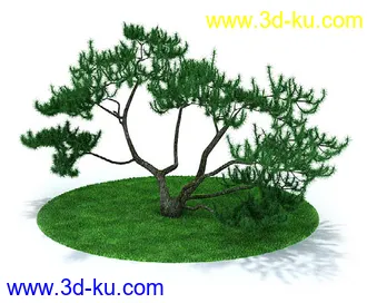 松树,橡树,柳树,红花檵木,红康乃馨,红玫瑰,紫荆树,桃树,模型合集的图片