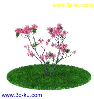 园林景观模型,造型植物模型,玫瑰模型的图片