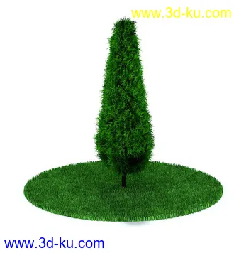 园林景观模型,造型植物模型,玫瑰模型的图片