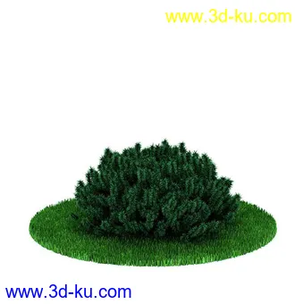 园林景观模型,造型植物模型,玫瑰模型的图片