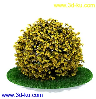 园林景观模型,造型植物模型,玫瑰模型的图片