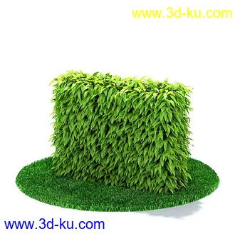 园林景观模型,造型植物模型,玫瑰模型的图片