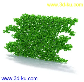 园林景观模型,造型植物模型,玫瑰模型的图片14