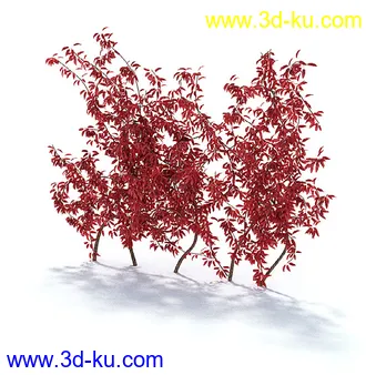 园林景观模型,造型植物模型,玫瑰模型的图片16