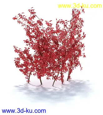 园林景观模型,造型植物模型,玫瑰模型的图片17