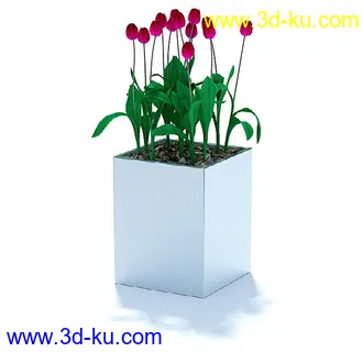 盘景模型,盘栽模型,花盘模型合集共22个的图片3