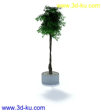 盘景模型,盘栽模型,花盘模型合集共22个的图片