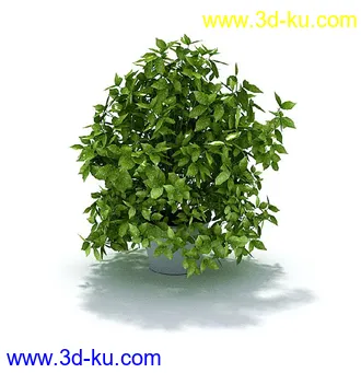 盘景模型,盘栽模型,花盘模型合集共22个的图片