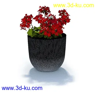 盘景模型,盘栽模型,花盘模型合集共22个的图片