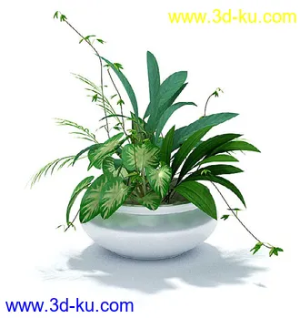 盘景模型,盘栽模型,花盘模型合集共22个的图片