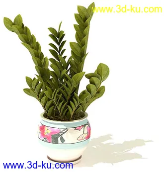 雪铁芋,鹅掌柴,金钱榕,杜鹃,变色络石,康乃馨,毛叶沼泽蕨,盆景,盆栽,模型合集的图片