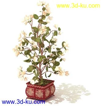 雪铁芋,鹅掌柴,金钱榕,杜鹃,变色络石,康乃馨,毛叶沼泽蕨,盆景,盆栽,模型合集的图片