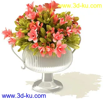 雪铁芋,鹅掌柴,金钱榕,杜鹃,变色络石,康乃馨,毛叶沼泽蕨,盆景,盆栽,模型合集的图片