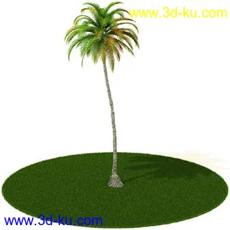 椰树,棕榈树,墨西哥草树,海枣,刺葵,苏铁,象脚丝兰,龙血树,树模型合集的图片