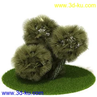 松树,榕树,白发藓,枫树,柏树,武竹,杉树,无茎刺葵,植物,树模型合集的图片