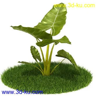 银杏,海芋,芋叶,圆叶刺轴榈,榄仁树,刺桐花,黄木犀草,植物,树模型合集的图片