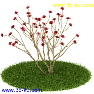 银杏,海芋,芋叶,圆叶刺轴榈,榄仁树,刺桐花,黄木犀草,植物,树模型合集的图片