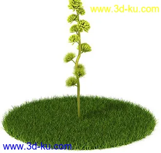 银杏,海芋,芋叶,圆叶刺轴榈,榄仁树,刺桐花,黄木犀草,植物,树模型合集的图片