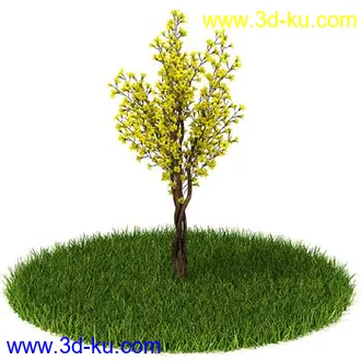 稀花槭,鸡爪槭,金叶榆,玫瑰花,竹,枫树,大红花,海棠,植物,花模型合集的图片