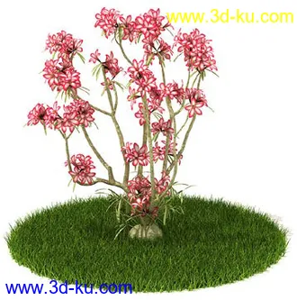 稀花槭,鸡爪槭,金叶榆,玫瑰花,竹,枫树,大红花,海棠,植物,花模型合集的图片