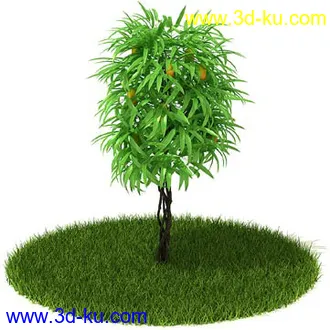 稀花槭,鸡爪槭,金叶榆,玫瑰花,竹,枫树,大红花,海棠,植物,花模型合集的图片