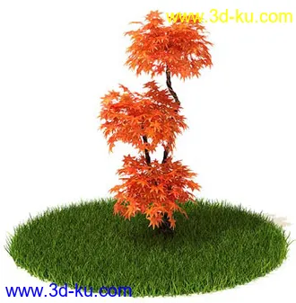 稀花槭,鸡爪槭,金叶榆,玫瑰花,竹,枫树,大红花,海棠,植物,花模型合集的图片