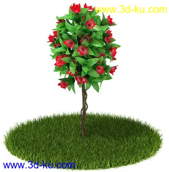 稀花槭,鸡爪槭,金叶榆,玫瑰花,竹,枫树,大红花,海棠,植物,花模型合集的图片