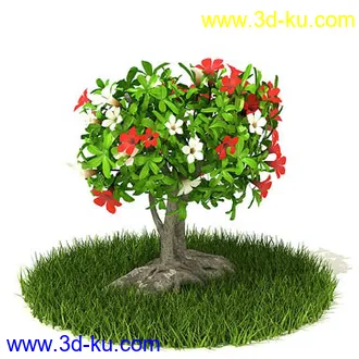 稀花槭,鸡爪槭,金叶榆,玫瑰花,竹,枫树,大红花,海棠,植物,花模型合集的图片