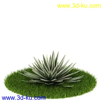 花叶榕,光叶子花,红脉葵,金森女贞,玉簪,白缘龙舌兰,菠萝,白发藓,植物模型合集的图片