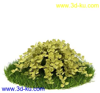 番石榴树,大芦荟,网纹草,金叶过路黄,肾蕨,红网纹草,紫鸭趾草,葡萄,模型合集的图片