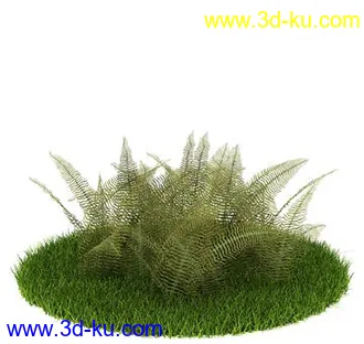 番石榴树,大芦荟,网纹草,金叶过路黄,肾蕨,红网纹草,紫鸭趾草,葡萄,模型合集的图片