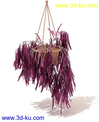 番石榴树,大芦荟,网纹草,金叶过路黄,肾蕨,红网纹草,紫鸭趾草,葡萄,模型合集的图片