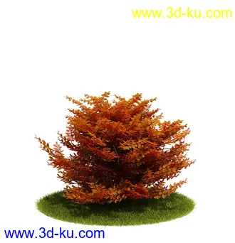 植物模型,园林模型,景观模型,树模型,灌木模型共60个的图片