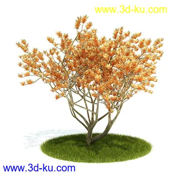 植物模型,园林模型,景观模型,树模型,灌木模型共60个的图片