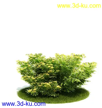 植物模型,园林模型,景观模型,树模型,灌木模型共60个的图片4