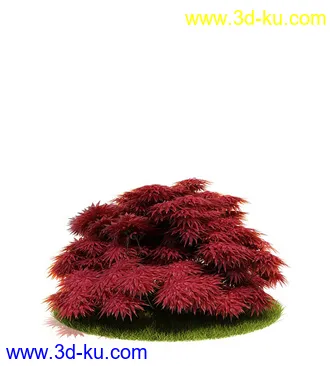 植物模型,园林模型,景观模型,树模型,灌木模型共60个的图片12