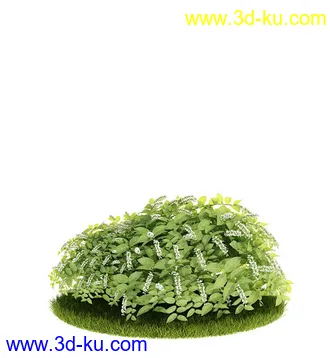 植物模型,园林模型,景观模型,树模型,灌木模型共60个的图片13