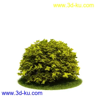 植物模型,园林模型,景观模型,树模型,灌木模型共60个的图片14