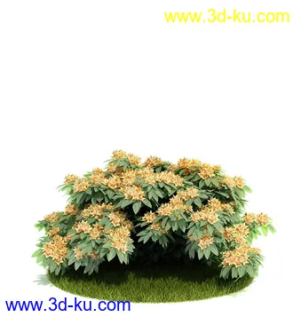 植物模型,园林模型,景观模型,树模型,灌木模型共60个的图片15