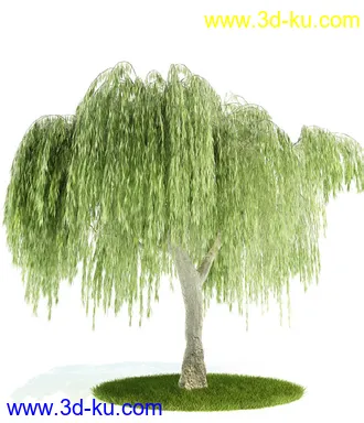 植物模型,园林模型,景观模型,树模型,灌木模型共60个的图片18