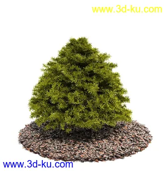 植物模型,园林模型,景观模型,树模型,灌木模型共60个的图片20