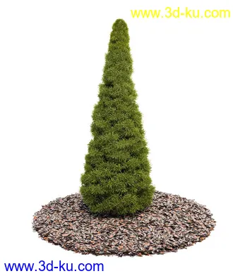 植物模型,园林模型,景观模型,树模型,灌木模型共60个的图片21