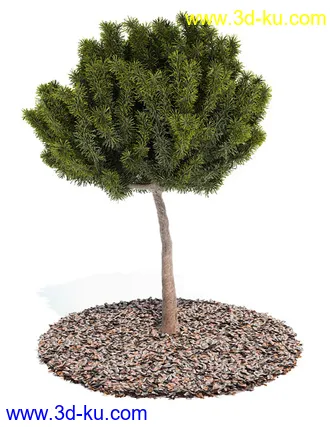 植物模型,园林模型,景观模型,树模型,灌木模型共60个的图片23